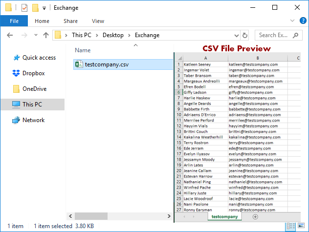 View CSV File