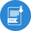 tiff