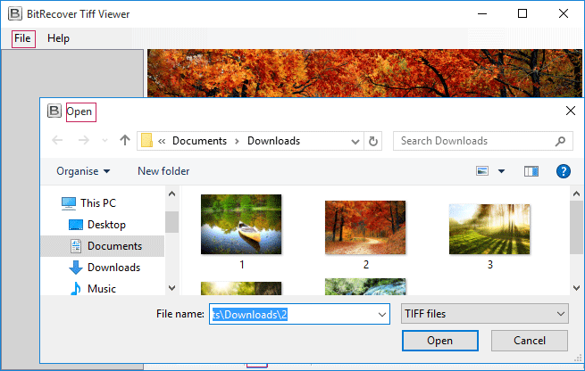 run free tiff file viewer